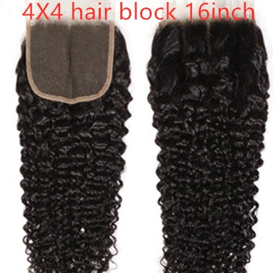 Premium Malaysian Hair Extensions - Export Quality Wig