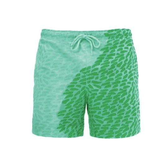 Men Colourful Beach Shorts and For Summer Swimming