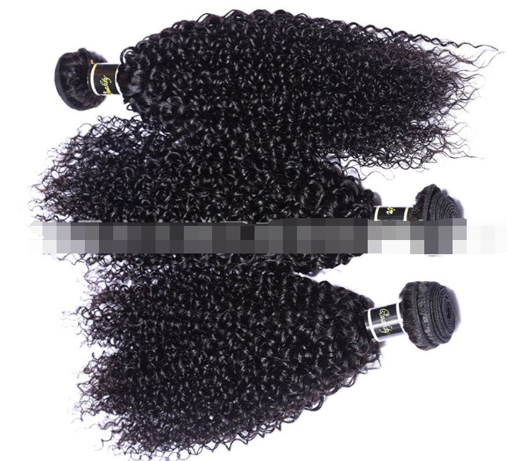 Premium Malaysian Hair Extensions - Export Quality Wig